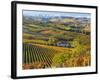 Vineyards, Nr Alba, Langhe, Piedmont (or Piemonte or Piedmonte), Italy-Peter Adams-Framed Photographic Print