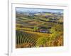 Vineyards, Nr Alba, Langhe, Piedmont (or Piemonte or Piedmonte), Italy-Peter Adams-Framed Photographic Print