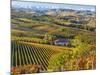 Vineyards, Nr Alba, Langhe, Piedmont (or Piemonte or Piedmonte), Italy-Peter Adams-Mounted Photographic Print