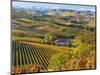 Vineyards, Nr Alba, Langhe, Piedmont (or Piemonte or Piedmonte), Italy-Peter Adams-Mounted Photographic Print