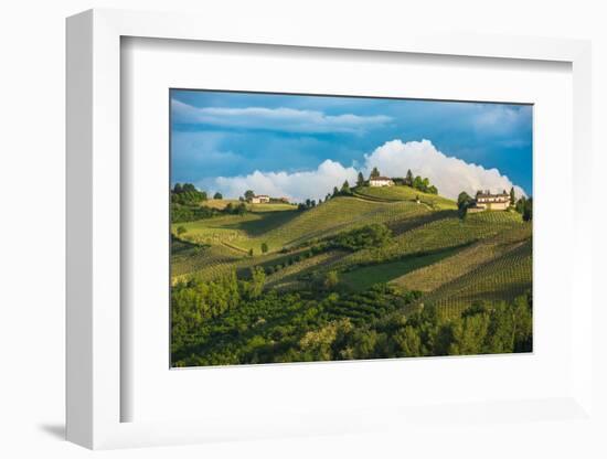 Vineyards of Langhe, Piedmont, UNESCO World Heritage-javarman-Framed Photographic Print