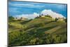 Vineyards of Langhe, Piedmont, UNESCO World Heritage-javarman-Mounted Photographic Print