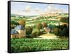 Vineyards of Provence-Max Hayslette-Framed Stretched Canvas