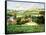 Vineyards of Provence-Max Hayslette-Framed Stretched Canvas