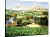 Vineyards of Provence-Max Hayslette-Stretched Canvas