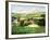 Vineyards of Provence-Max Hayslette-Framed Giclee Print