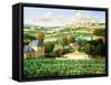 Vineyards of Provence-Max Hayslette-Framed Stretched Canvas