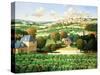 Vineyards of Provence-Max Hayslette-Stretched Canvas