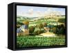 Vineyards of Provence-Max Hayslette-Framed Stretched Canvas