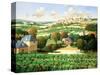 Vineyards of Provence-Max Hayslette-Stretched Canvas