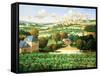 Vineyards of Provence-Max Hayslette-Framed Stretched Canvas