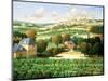 Vineyards of Provence-Max Hayslette-Mounted Giclee Print