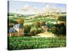 Vineyards of Provence-Max Hayslette-Stretched Canvas