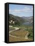 Vineyards of Quinta Do Mourao, Near Regua, Portugal-Sheila Terry-Framed Stretched Canvas