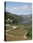 Vineyards of Quinta Do Mourao, Near Regua, Portugal-Sheila Terry-Stretched Canvas