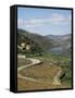 Vineyards of Quinta Do Mourao, Near Regua, Portugal-Sheila Terry-Framed Stretched Canvas