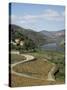 Vineyards of Quinta Do Mourao, Near Regua, Portugal-Sheila Terry-Stretched Canvas
