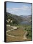 Vineyards of Quinta Do Mourao, Near Regua, Portugal-Sheila Terry-Framed Stretched Canvas
