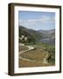 Vineyards of Quinta Do Mourao, Near Regua, Portugal-Sheila Terry-Framed Photographic Print