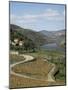 Vineyards of Quinta Do Mourao, Near Regua, Portugal-Sheila Terry-Mounted Photographic Print