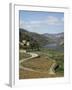 Vineyards of Quinta Do Mourao, Near Regua, Portugal-Sheila Terry-Framed Photographic Print