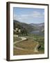 Vineyards of Quinta Do Mourao, Near Regua, Portugal-Sheila Terry-Framed Photographic Print