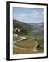 Vineyards of Quinta Do Mourao, Near Regua, Portugal-Sheila Terry-Framed Photographic Print