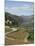 Vineyards of Quinta Do Mourao, Near Regua, Portugal-Sheila Terry-Mounted Photographic Print