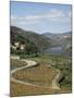 Vineyards of Quinta Do Mourao, Near Regua, Portugal-Sheila Terry-Mounted Photographic Print