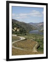 Vineyards of Quinta Do Mourao, Near Regua, Portugal-Sheila Terry-Framed Photographic Print