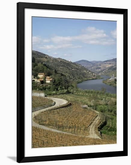 Vineyards of Quinta Do Mourao, Near Regua, Portugal-Sheila Terry-Framed Photographic Print