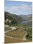 Vineyards of Quinta Do Mourao, Near Regua, Portugal-Sheila Terry-Mounted Photographic Print