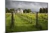 Vineyards of the Cambridge Road Winery-Stuart-Mounted Photographic Print