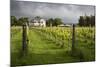 Vineyards of the Cambridge Road Winery-Stuart-Mounted Photographic Print