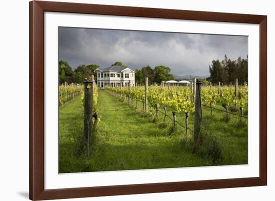 Vineyards of the Cambridge Road Winery-Stuart-Framed Photographic Print