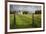 Vineyards of the Cambridge Road Winery-Stuart-Framed Photographic Print