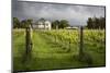 Vineyards of the Cambridge Road Winery-Stuart-Mounted Photographic Print