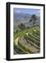 Vineyards of the Douro Valley, Pinhao, Portugal-Julie Eggers-Framed Photographic Print