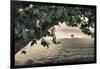 Vineyards of the Douro Valley, Pinhao, Portugal-Julie Eggers-Framed Photographic Print