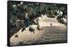 Vineyards of the Douro Valley, Pinhao, Portugal-Julie Eggers-Framed Stretched Canvas