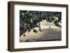 Vineyards of the Douro Valley, Pinhao, Portugal-Julie Eggers-Framed Photographic Print