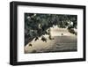 Vineyards of the Douro Valley, Pinhao, Portugal-Julie Eggers-Framed Photographic Print