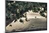 Vineyards of the Douro Valley, Pinhao, Portugal-Julie Eggers-Mounted Photographic Print