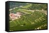 Vineyards of Valpolicella, Sant Ambrogio Di Valpolicella, Verona Province, Veneto, Italy, Europe-Nico Tondini-Framed Stretched Canvas