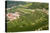 Vineyards of Valpolicella, Sant Ambrogio Di Valpolicella, Verona Province, Veneto, Italy, Europe-Nico Tondini-Stretched Canvas