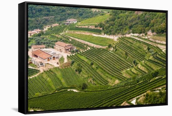 Vineyards of Valpolicella, Sant Ambrogio Di Valpolicella, Verona Province, Veneto, Italy, Europe-Nico Tondini-Framed Stretched Canvas