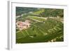 Vineyards of Valpolicella, Sant Ambrogio Di Valpolicella, Verona Province, Veneto, Italy, Europe-Nico Tondini-Framed Photographic Print