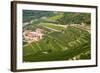 Vineyards of Valpolicella, Sant Ambrogio Di Valpolicella, Verona Province, Veneto, Italy, Europe-Nico Tondini-Framed Photographic Print