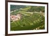 Vineyards of Valpolicella, Sant Ambrogio Di Valpolicella, Verona Province, Veneto, Italy, Europe-Nico Tondini-Framed Photographic Print