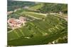 Vineyards of Valpolicella, Sant Ambrogio Di Valpolicella, Verona Province, Veneto, Italy, Europe-Nico Tondini-Mounted Photographic Print